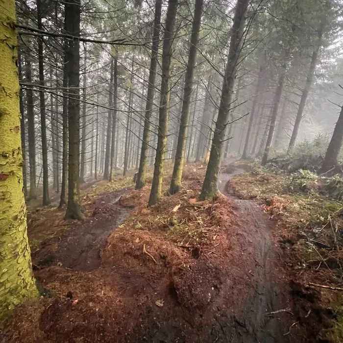 Coed Llandegla Mountain Bike Trails