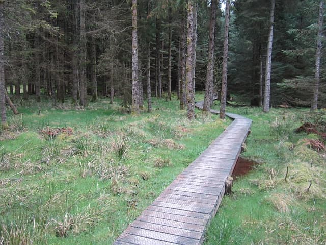 Newcastleton Mountain Bike Trails