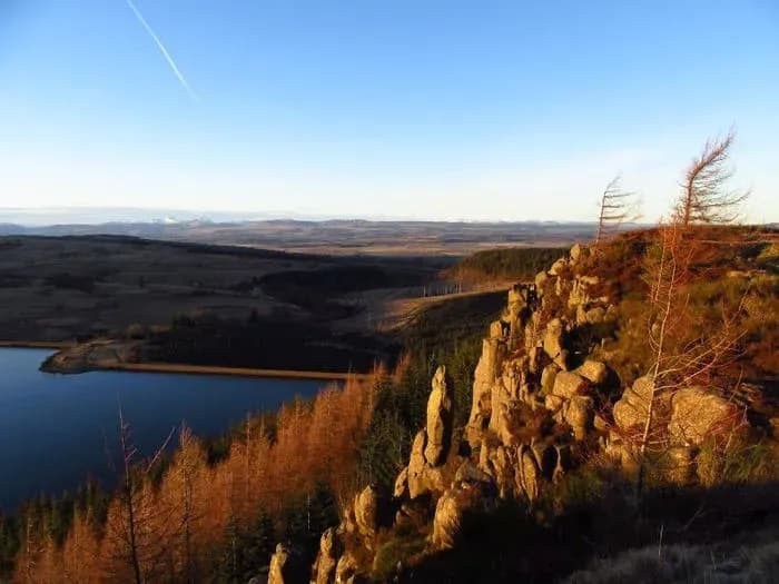 Cambusbarron Woods and North Third 