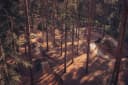 Chicksands Bike Park — Fern Flow