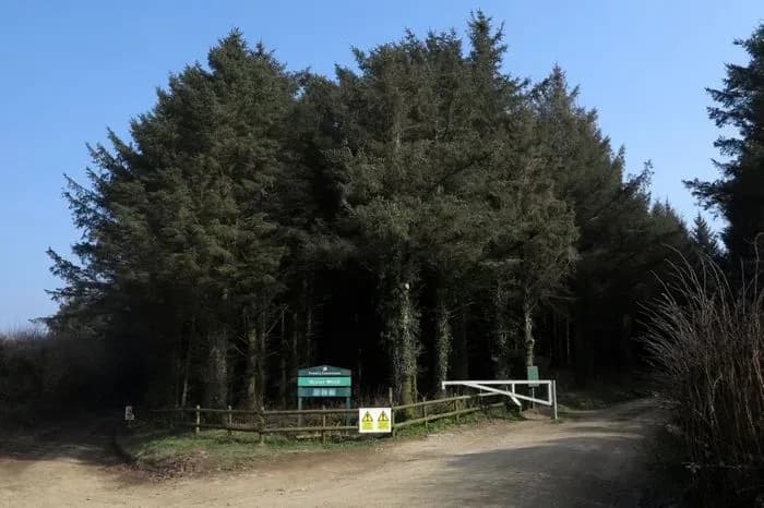 Hustyns Woods Mountain Bike Trails