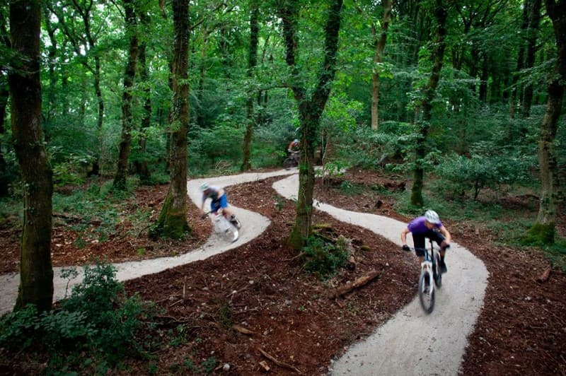 PlymBridge Woods Mountain Biking