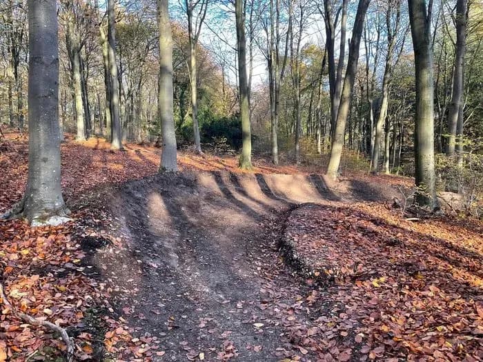 Queen Elizabeth Country Park Mountain Bike Trails