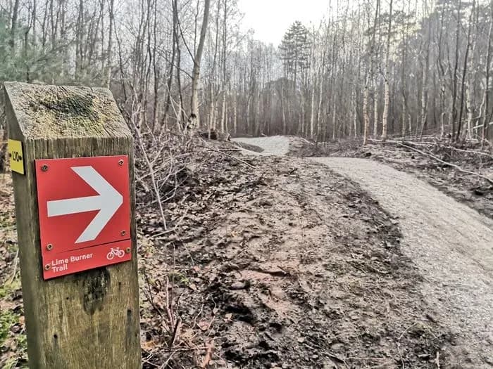 Thetford Forest Mountain Bike Trails