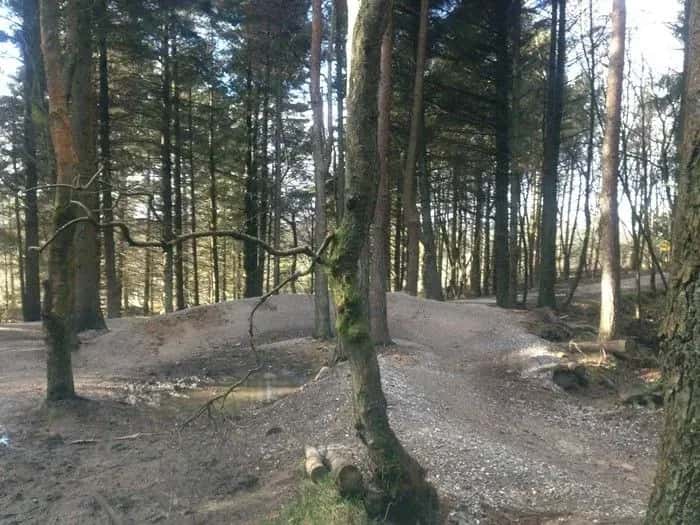 Gisburn Forest Bike Trails