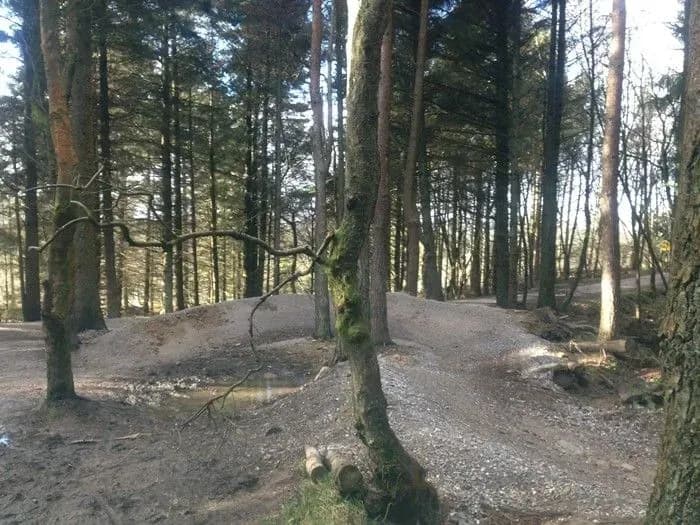 Gisburn Forest Bike Trails