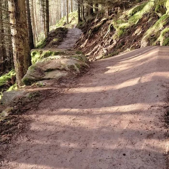 Highland Wildcat Trails Golspie