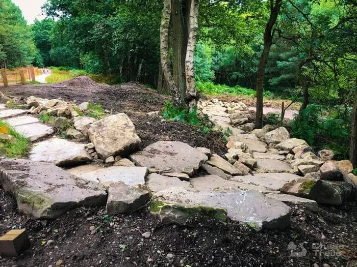 Cannock Chase Mountain Bike Trails