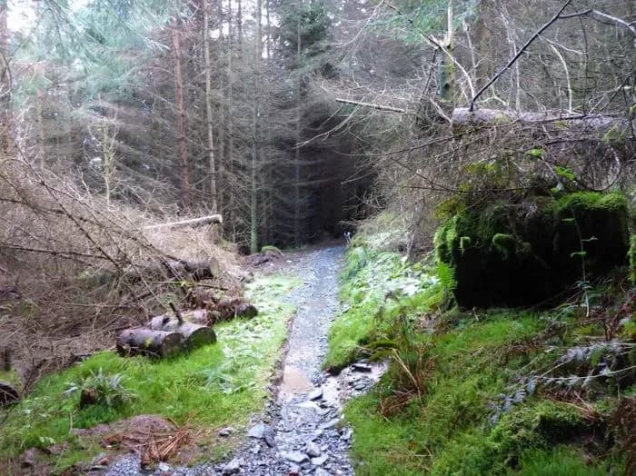Penmachno Mountain Bike Trails