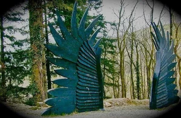 Brechfa Mountain Bike Trails