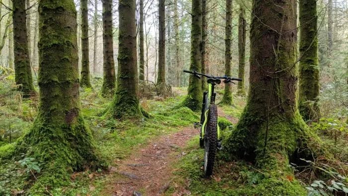 Drumlanrig Mountain Bike Trails