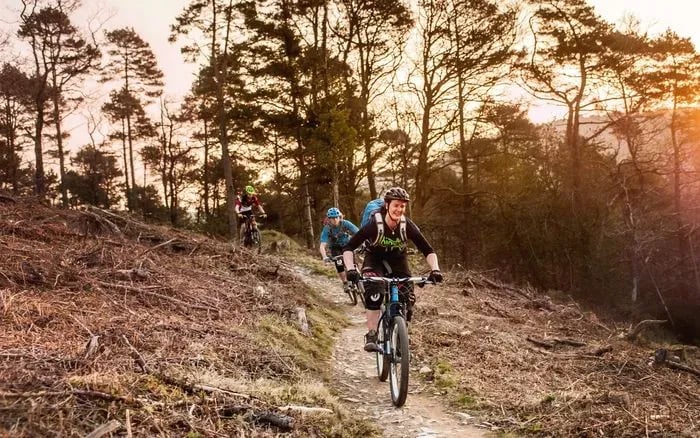 Friston Forest Mountain Bike Trails