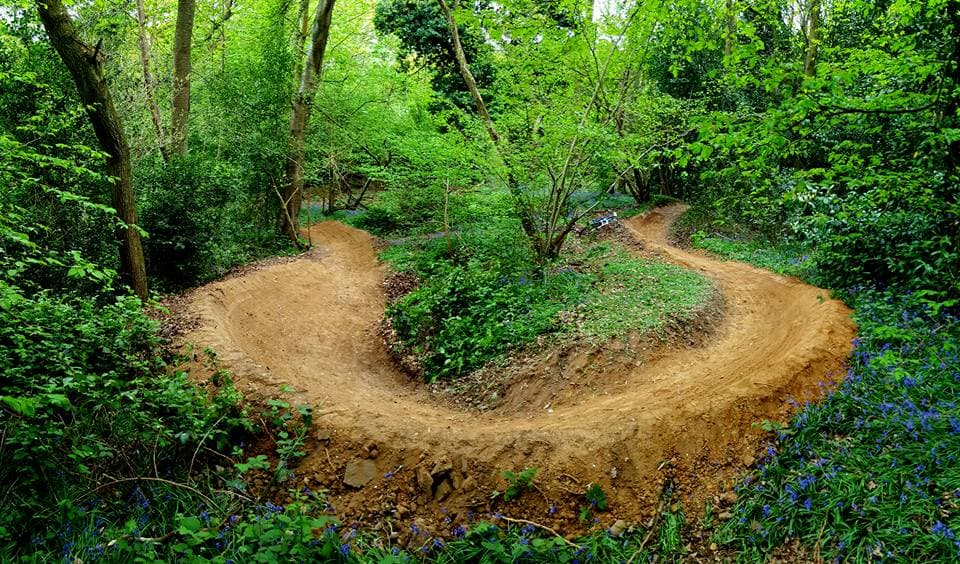 Danbury Common Mountain Bike Trails