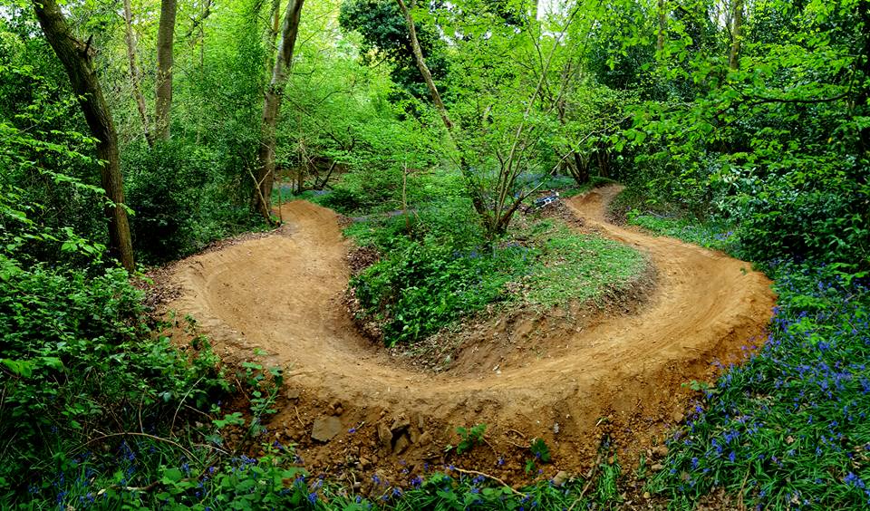 Danbury Common Mountain Bike Trails