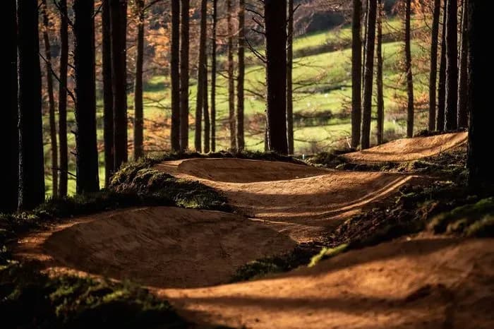 Glenlivet Mountain Bike Trails