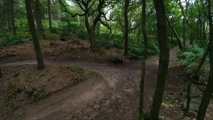 Healey Nab Mountain Bike Tracks