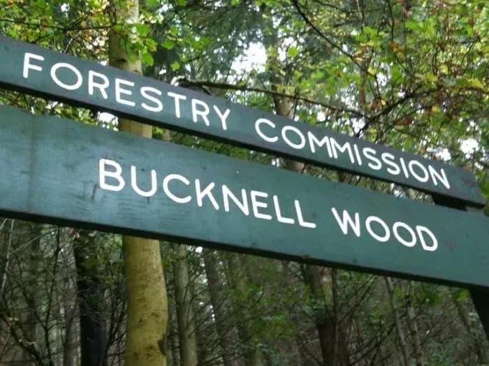 Bucknell Downhill Track