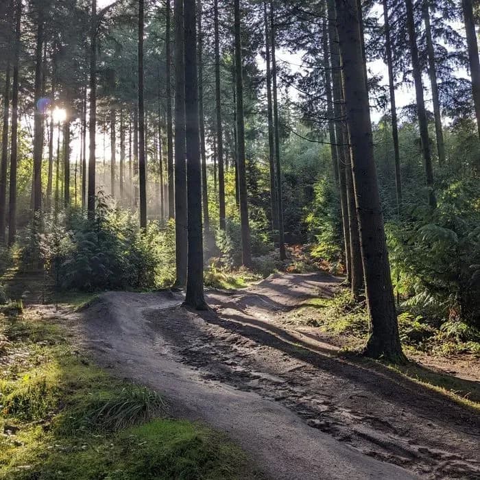 Rogate Downhill B1ke Park