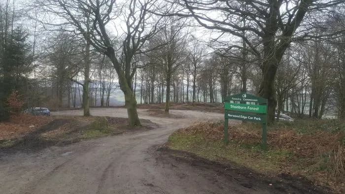 Stainburn Forest Mountain Bike Trails