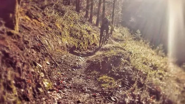 Cardinham Woods Mountain Biking