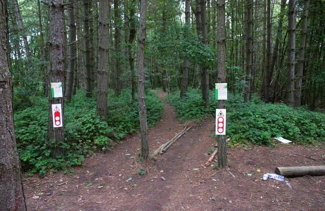 Wyre Forest and Ribbesford Bike Park