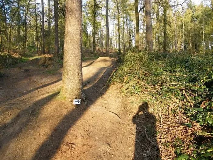 Bradbury Clump Mountain Bike Trails