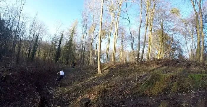 Houghton Forest, Whiteways