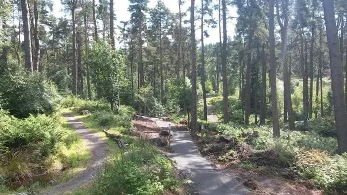 Callendar Estate Mountain Bike Trails and Greenrig Bike Park