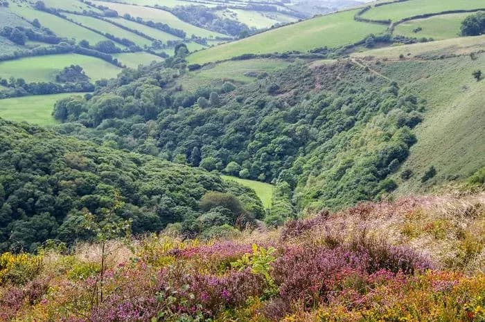 Exmoor Mountain Biking