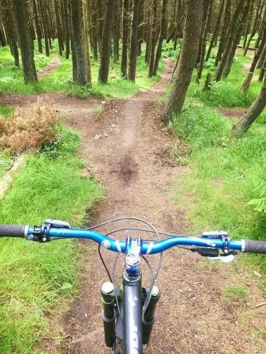 Bonaly Downhill and Mountain Bike Trails