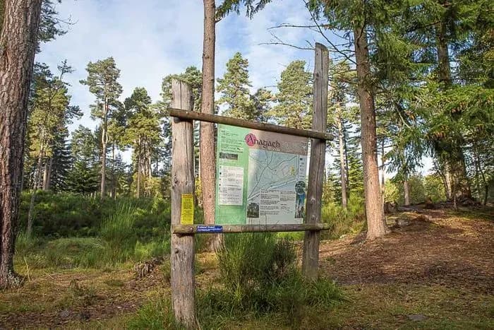 Anagach Woods MTB Trails, Grantown on Spey