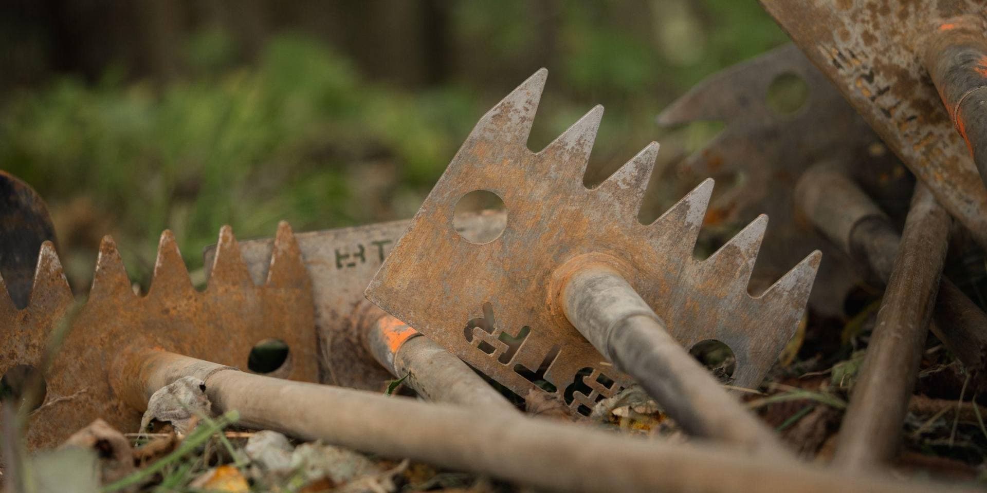 Could A UK Wide Trail Body Emerge From This?