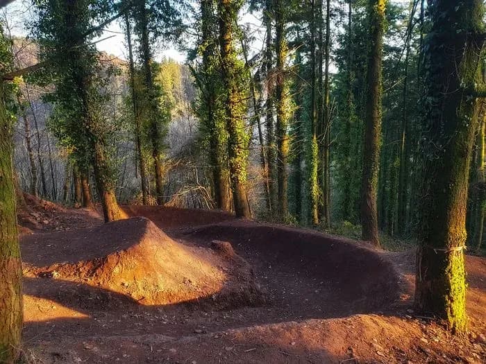 Braunton Freeride MTB