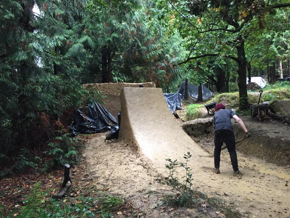 Brockham Trails