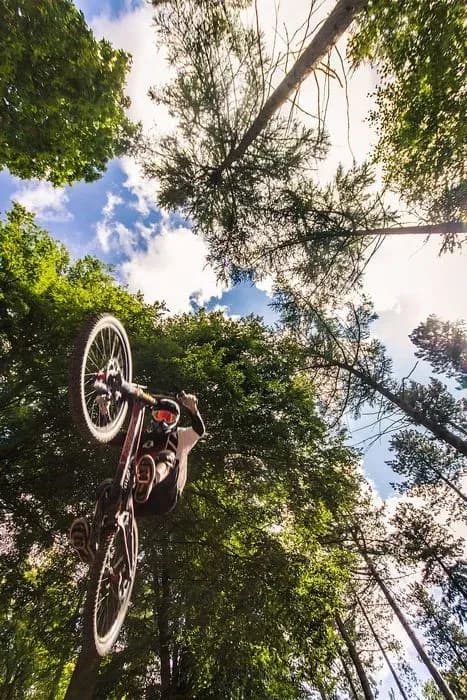 Stile Cop Downhill Trails