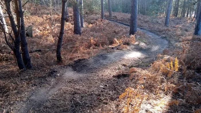 Viking Trail Tunstall Forest