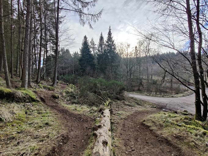 Pitmedden Forest Mountain Bike Trails