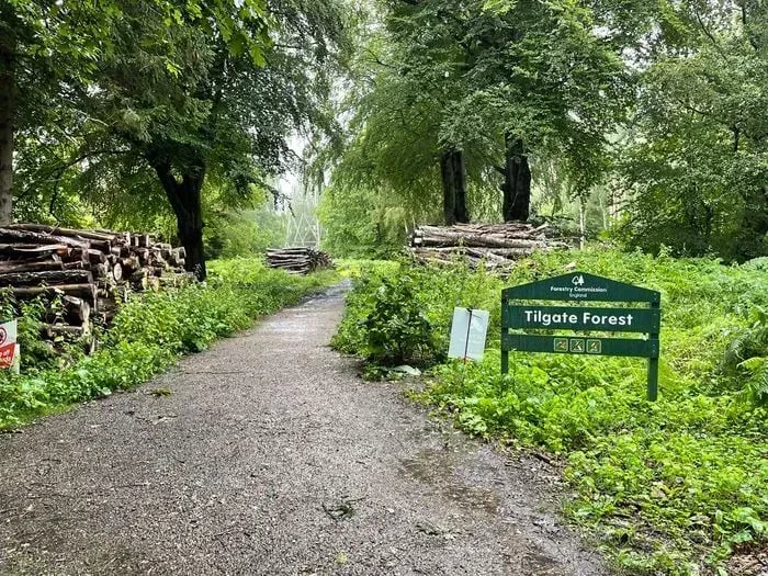 Tilgate Forest Mountain Biking Trails
