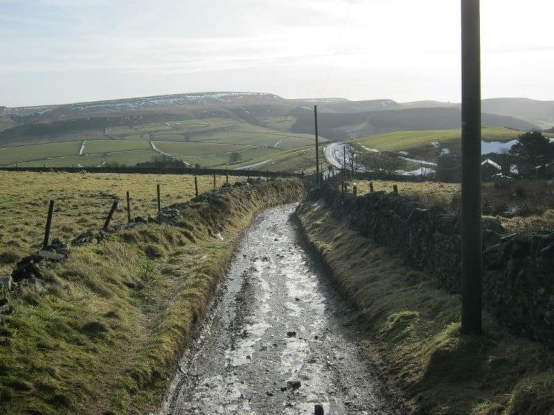 Macclesfield Forest
