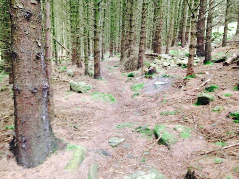 Nant Gwrtheyrn Downhill