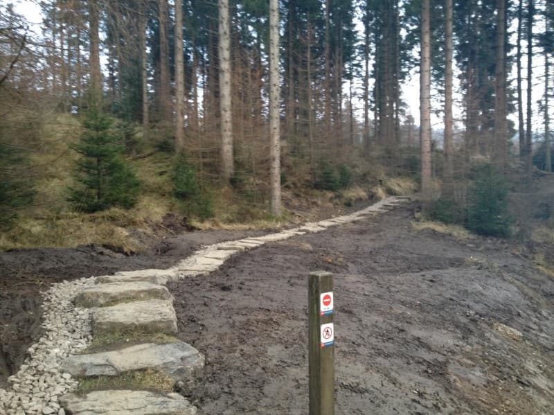 Grizedale Mountain Biking
