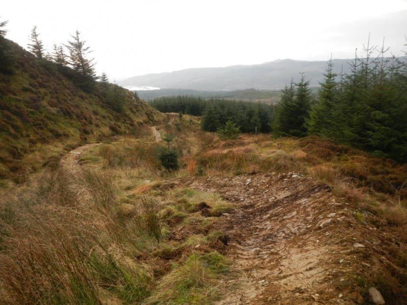 Fire Tower Mountain Bike Trails