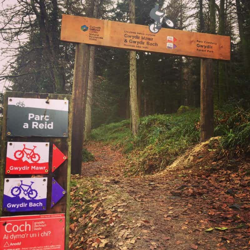 Gwydir Forest Mountain Bike Trails
